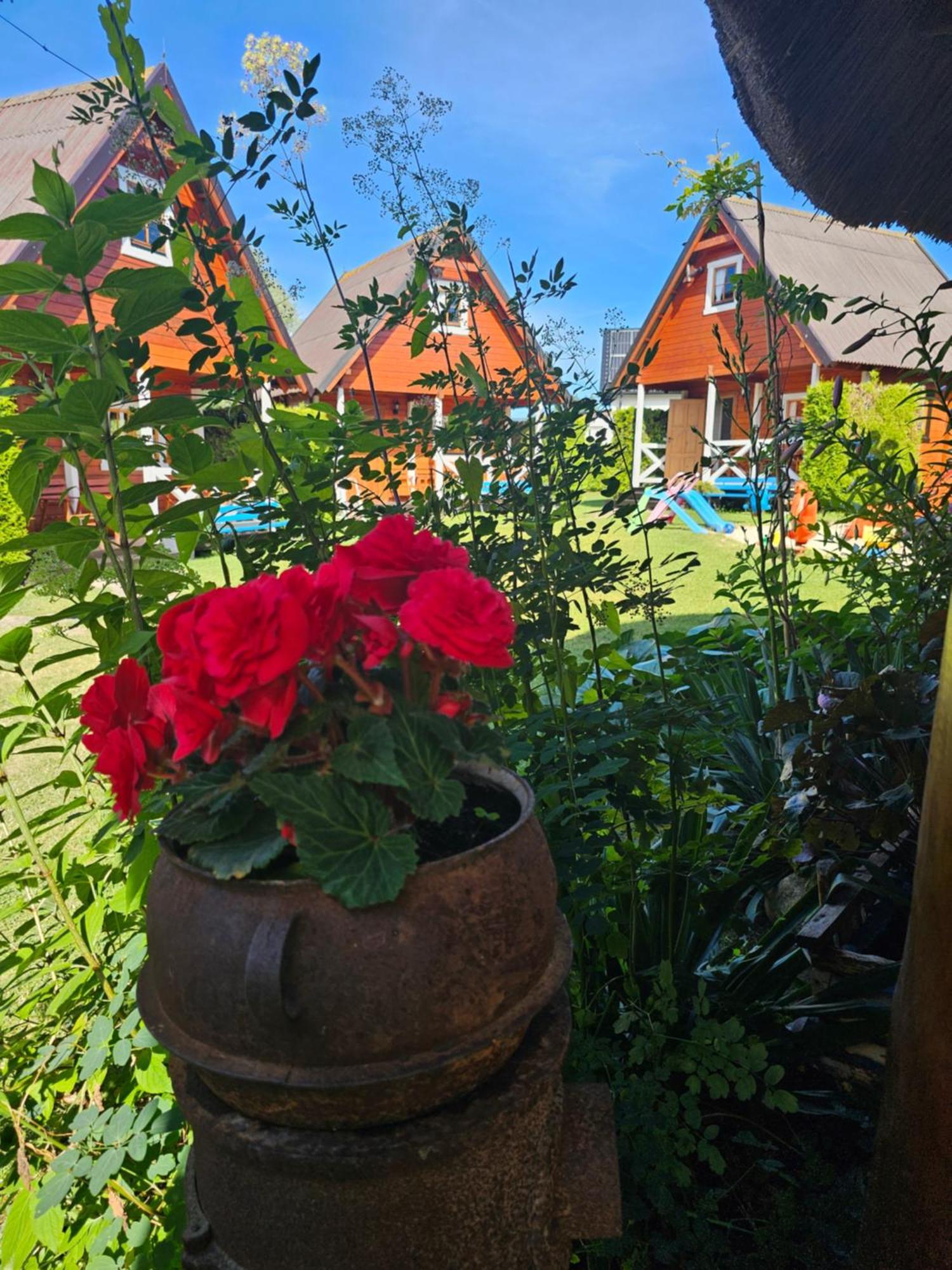 Zagroda Сарбиново Экстерьер фото